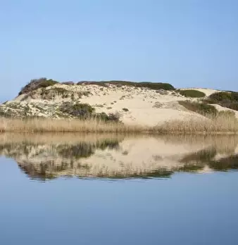 Foto annuncio 24