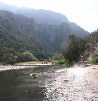 Foto annuncio 29