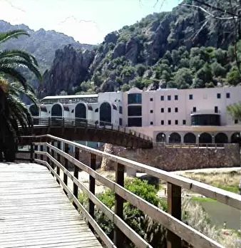 Foto annuncio 31