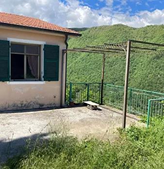 Foto annuncio 10