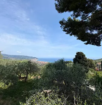 Foto annuncio 9