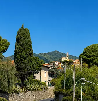 Foto annuncio 11