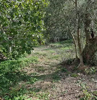 Foto annuncio 6