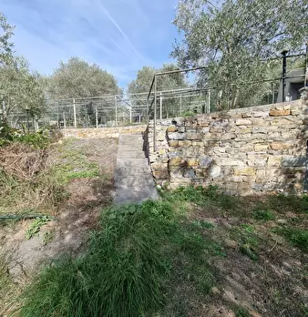 Foto annuncio 8