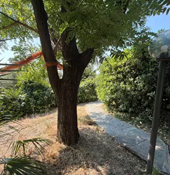 Foto annuncio 26