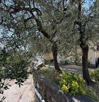 Foto annuncio 32
