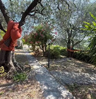 Foto annuncio 33