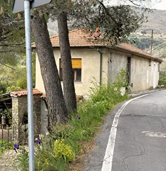Foto annuncio 33