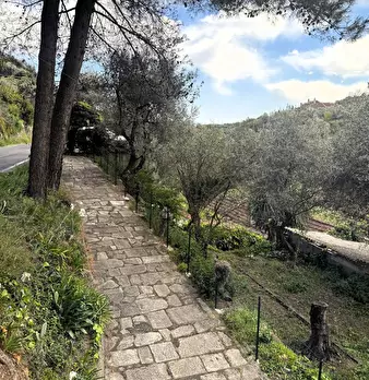 Foto annuncio 2