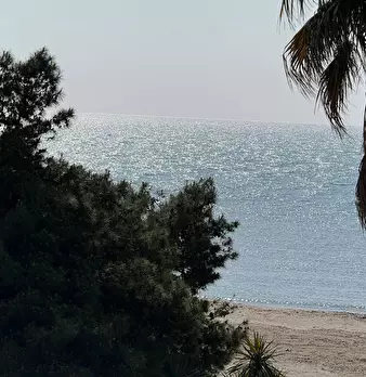 Foto annuncio 24