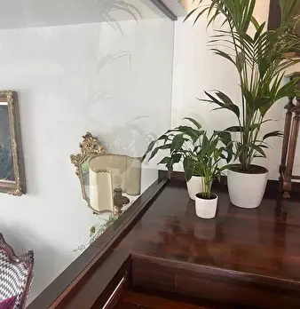 Foto annuncio 42
