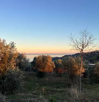 Foto annuncio 4