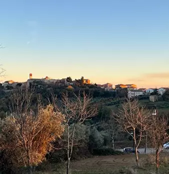 Foto annuncio 6