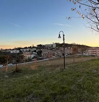 Foto annuncio 7