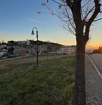 Foto annuncio 9
