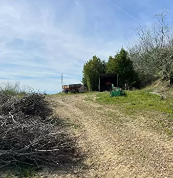 Foto annuncio 1