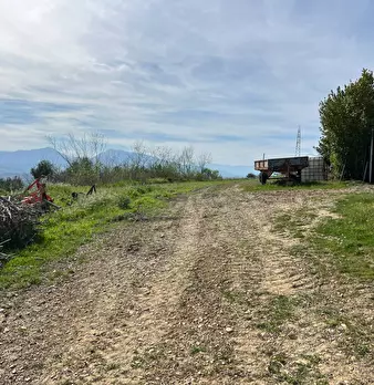 Foto annuncio 2