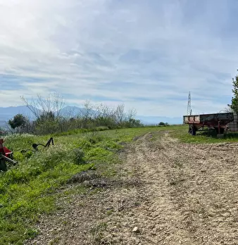 Foto annuncio 3