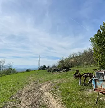 Foto annuncio 5