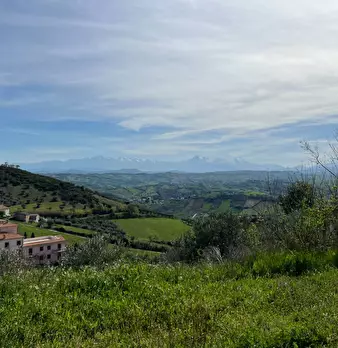 Foto annuncio 7