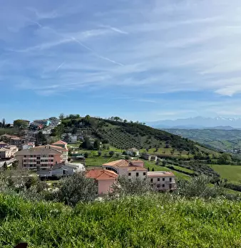 Foto annuncio 8