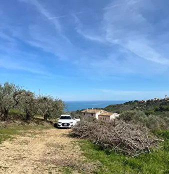 Foto annuncio 10