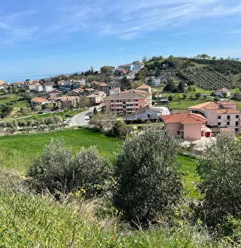 Foto annuncio 12