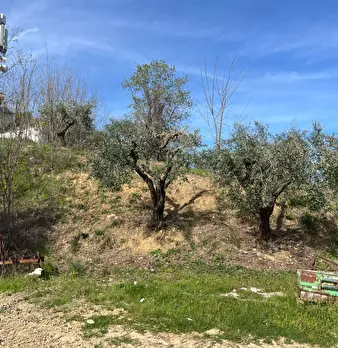 Foto annuncio 13