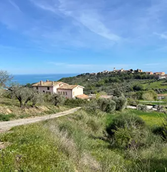 Foto annuncio 15