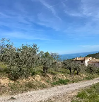 Foto annuncio 16