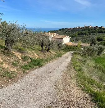 Foto annuncio 19