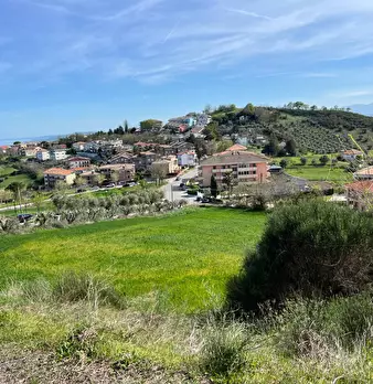 Foto annuncio 21