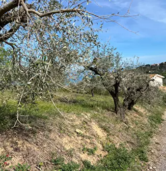 Foto annuncio 22