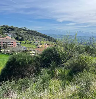 Foto annuncio 23