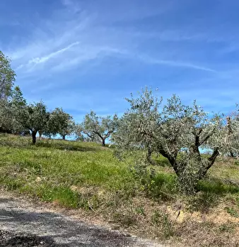 Foto annuncio 25