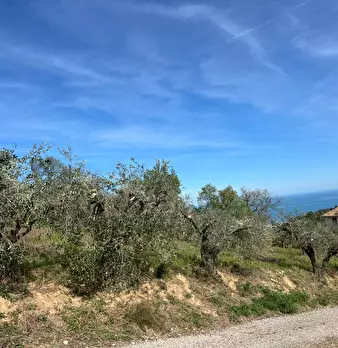 Foto annuncio 26