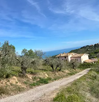 Foto annuncio 27