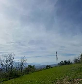 Foto annuncio 29