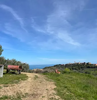 Foto annuncio 30