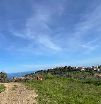 Foto annuncio 31