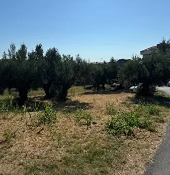 Foto annuncio 2