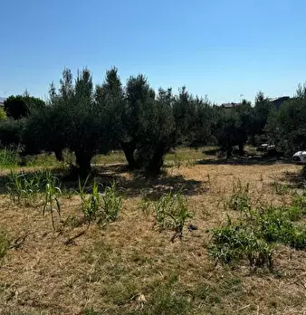 Foto annuncio 3