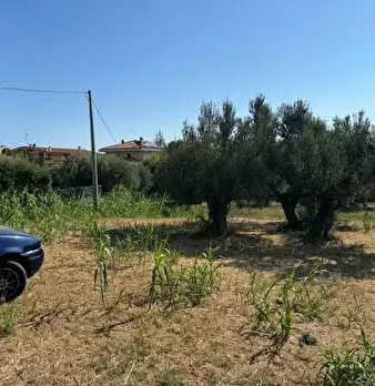 Foto annuncio 4