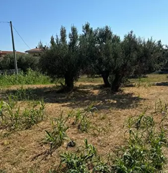 Foto annuncio 1