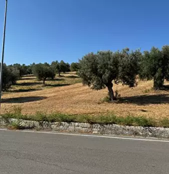 Foto annuncio 6