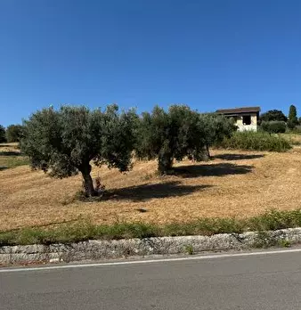 Foto annuncio 7