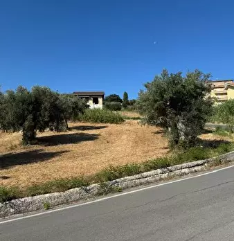Foto annuncio 8