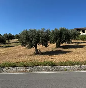 Foto annuncio 9