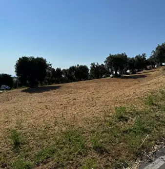 Foto annuncio 10