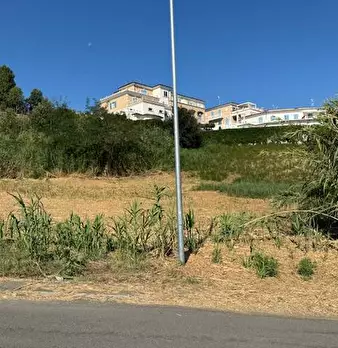 Foto annuncio 12
